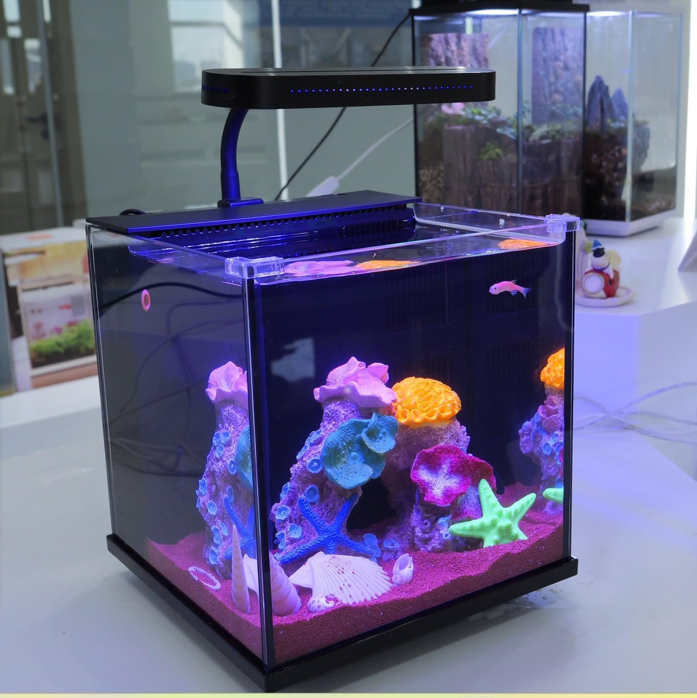 3 Fish Tanks: A Comparative Review