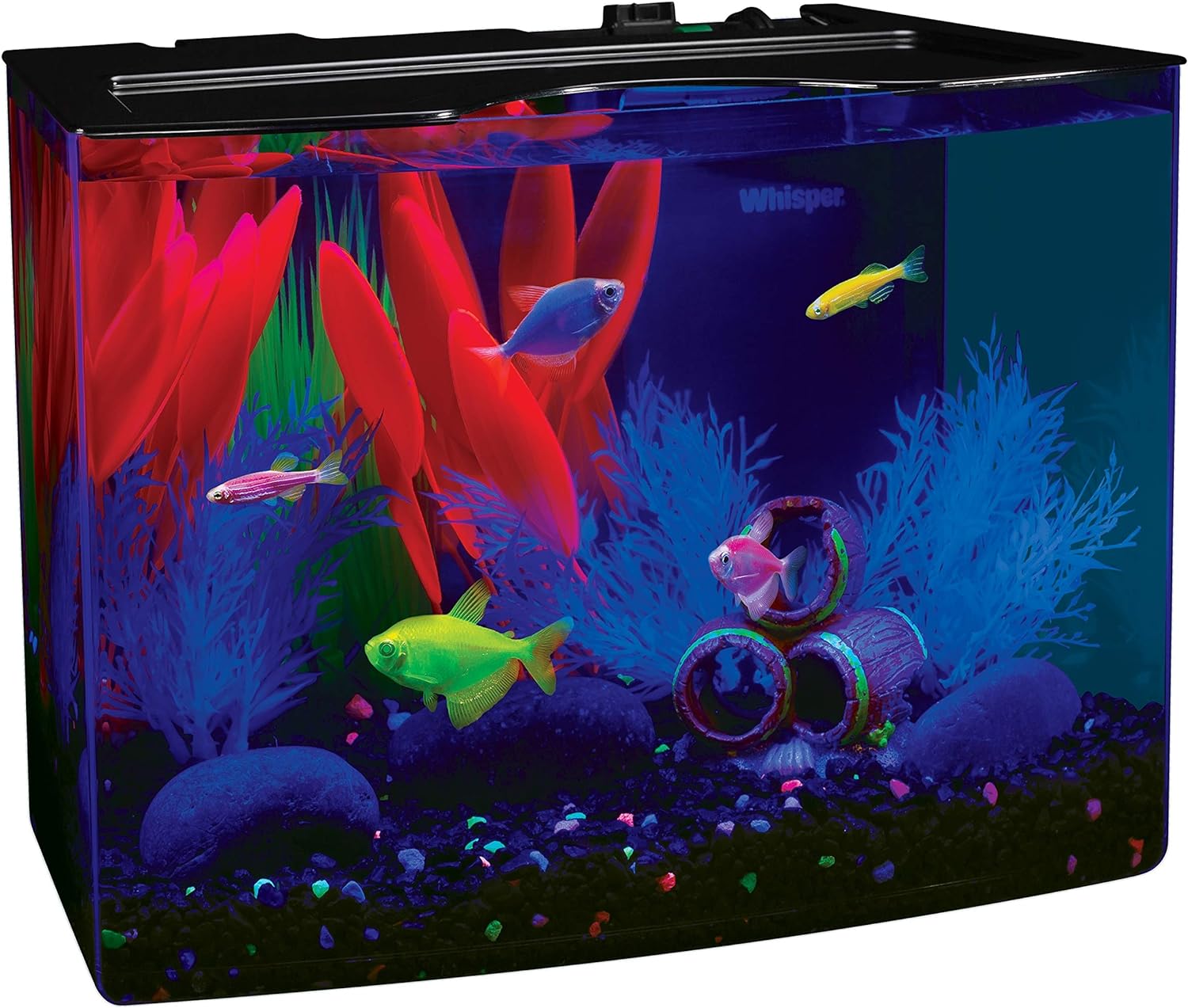 Comparing 3 Best Aquarium Kits: GloFish, Koller AquaView, and Betta 360