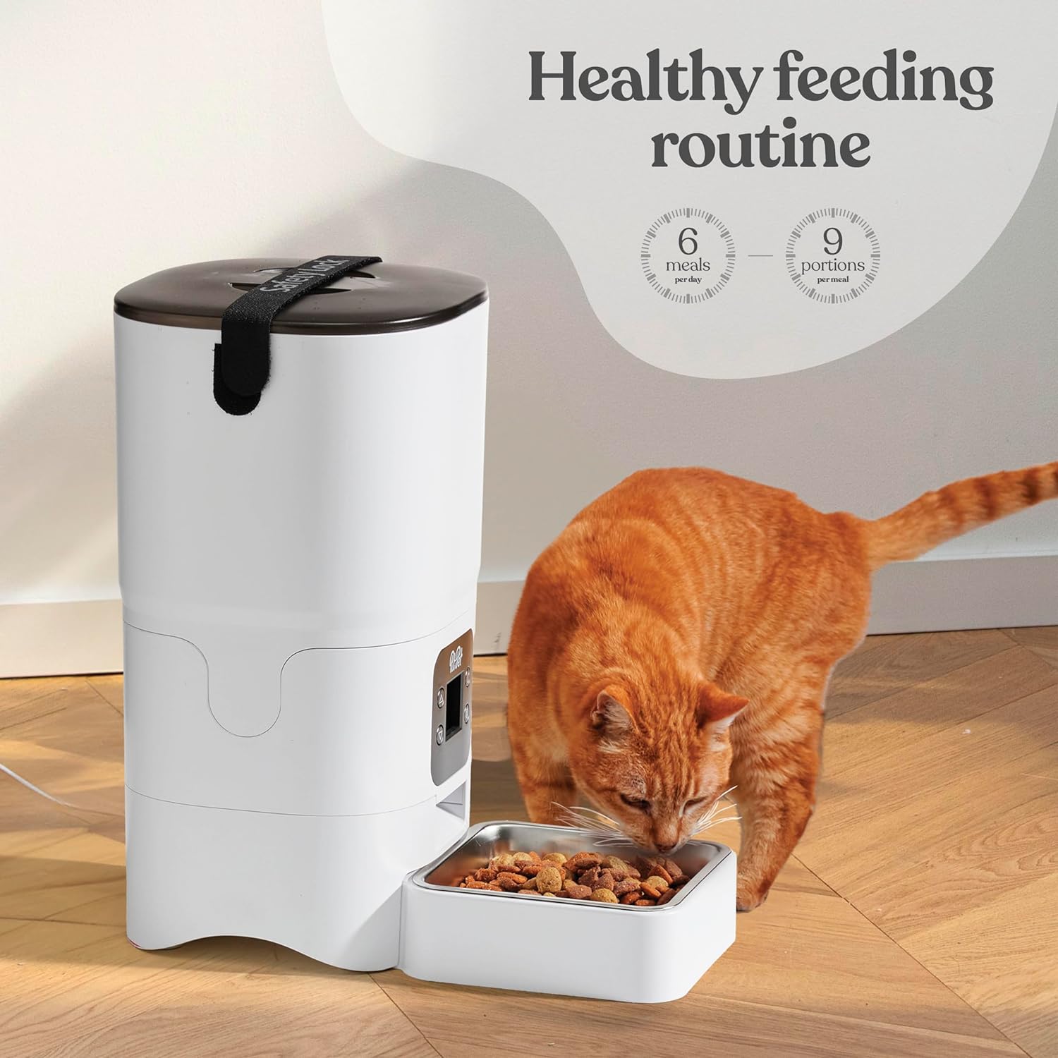 Comparing Smart Automatic Cat Feeders: LCD Screen vs. Portion Control vs. Customized Schedule