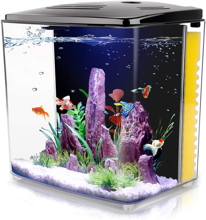 1.2Gallon Betta Aquarium Starter Kits Square Fish Tank with LED Light and Filter Pump