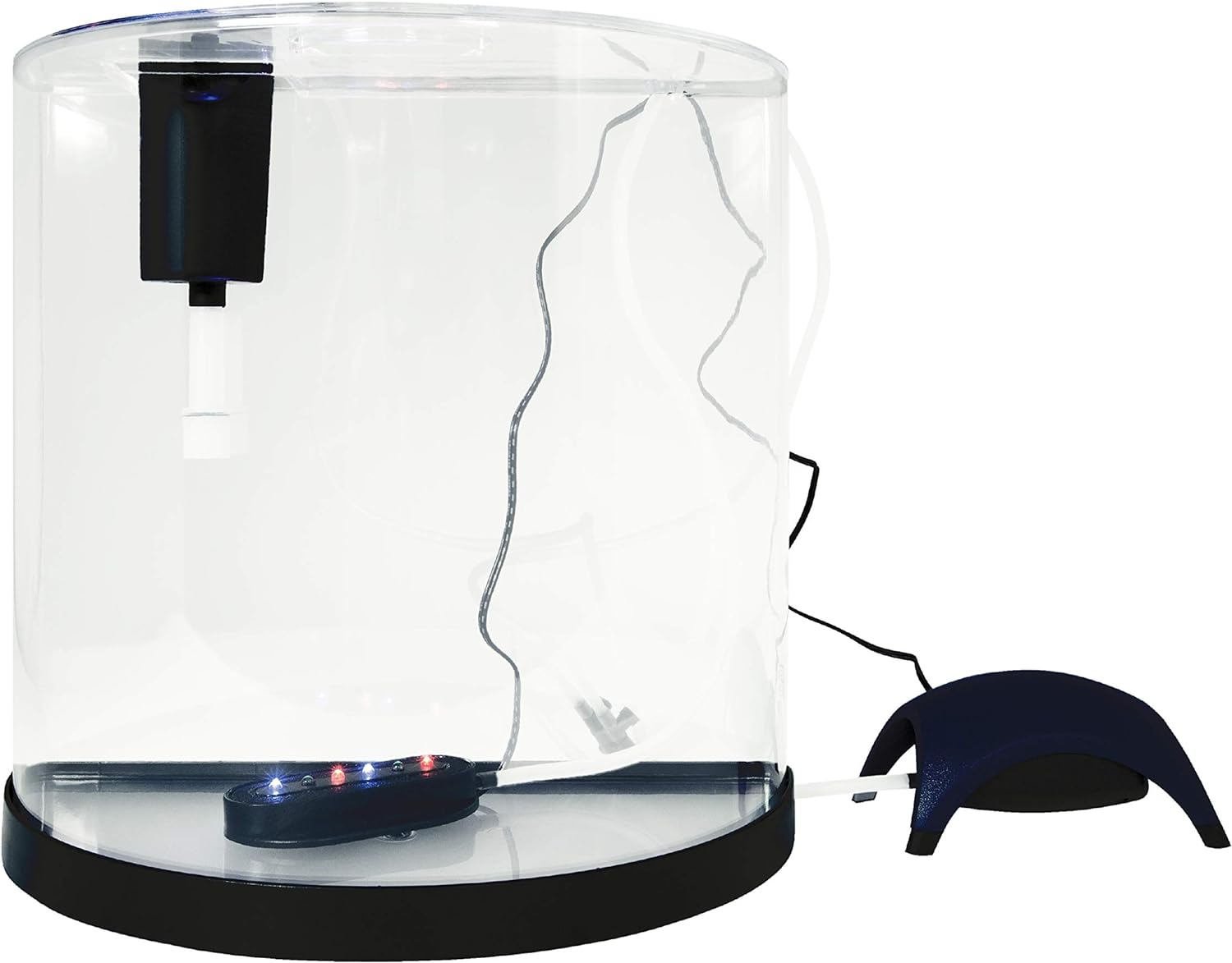 Comparative Review: 3 Smart Fish Tanks – 1.5 Gal, 3 Gal, 10 Gal