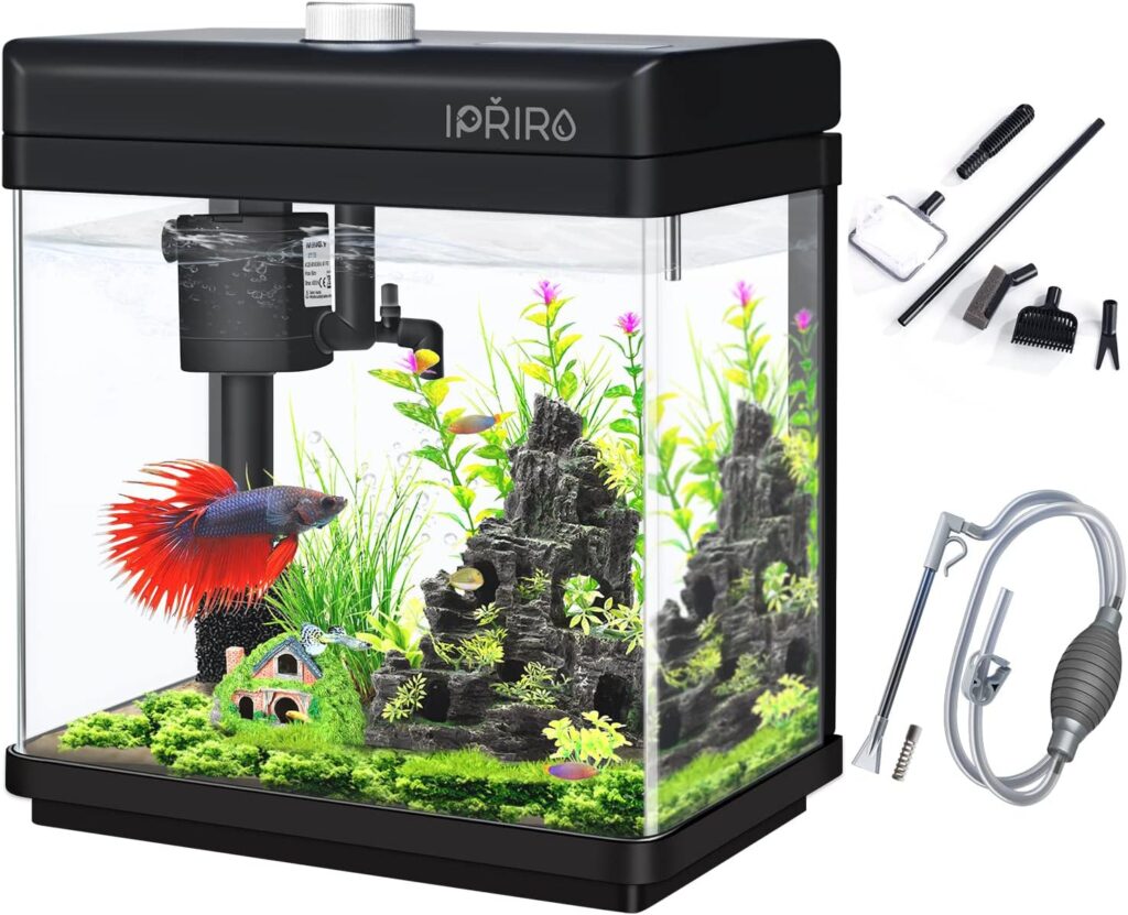 Glass Betta Aquarium Starter Kits Fish Tank with LED Light and Temp Display 1.5 Gallon, Top Filtration, Gravel Cleaners, Cleaner Tool 4 in 1