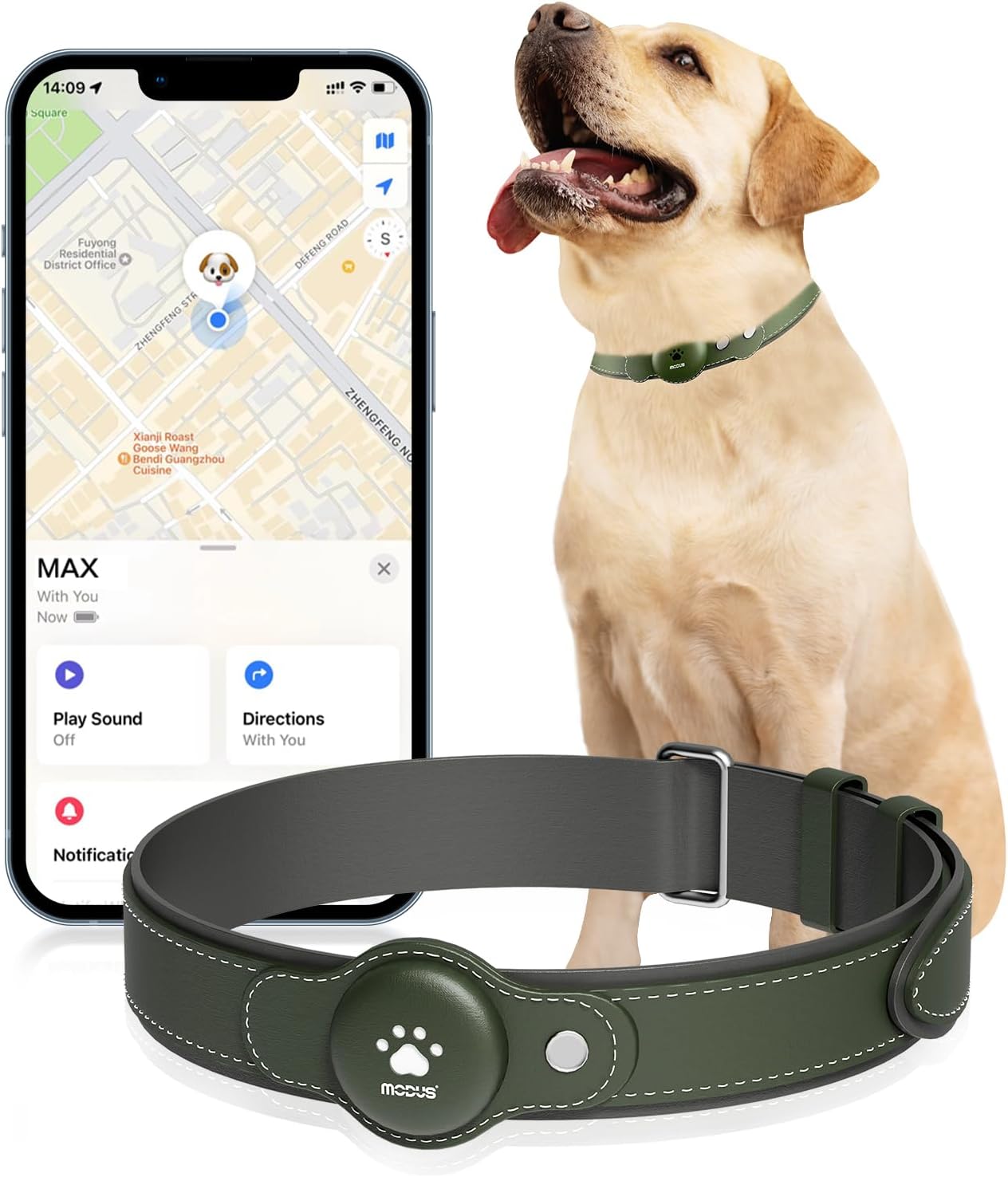 GPS Tracker vs. Smart Bark Collars: A Comparative Review