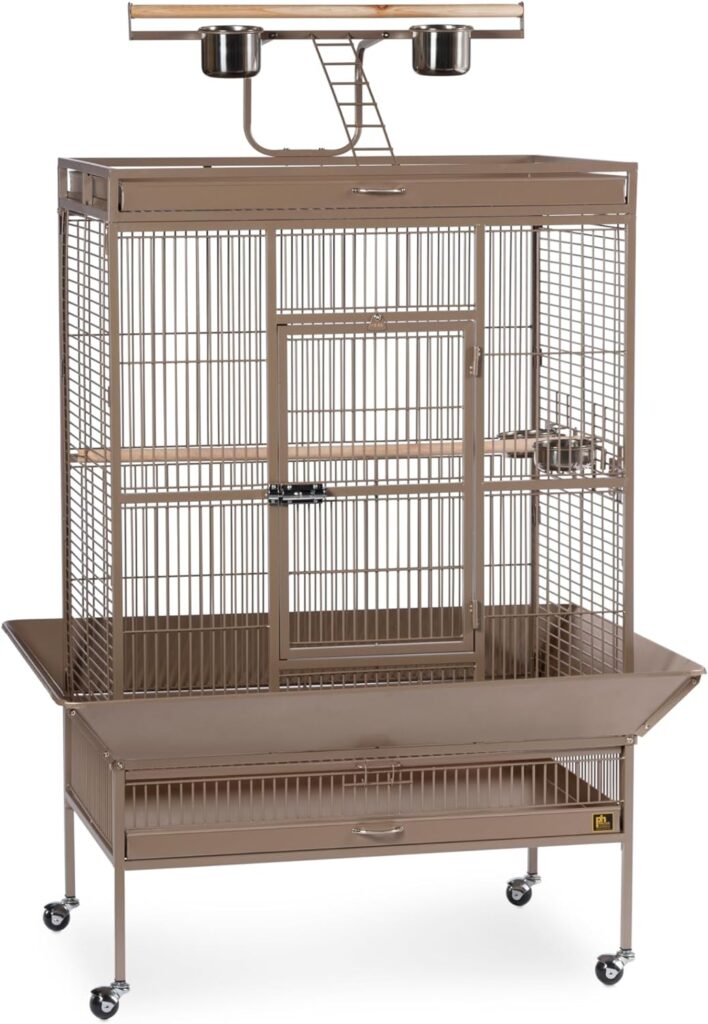 Prevue Pet Products Wrought Iron Select Bird Cage 3154COCO, Coco Brown, 36-Inch by 24-Inch by 66-Inch