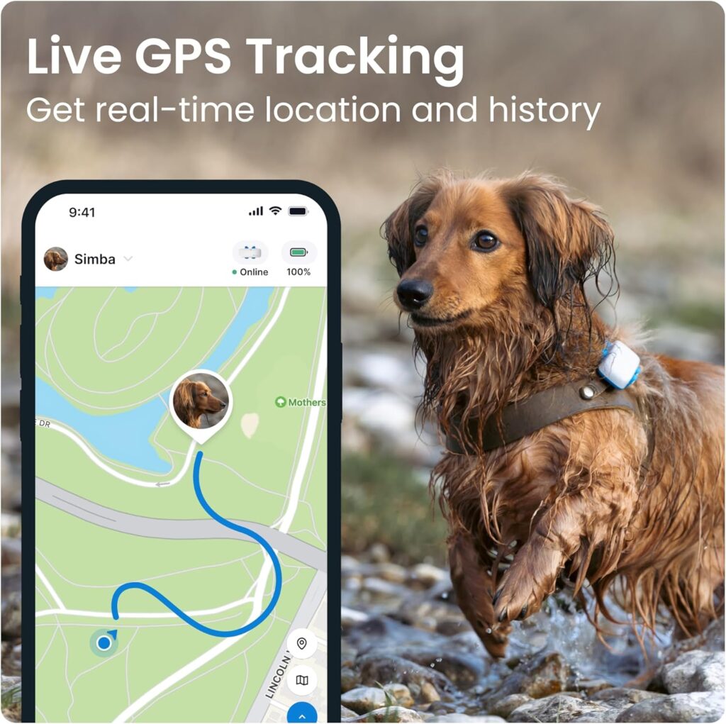 Tractive GPS Tracker  Health Monitoring for Dogs - Market Leading Pet GPS Location Tracker, Wellness  Escape Alerts, Waterproof, Works with Any Collar (White)