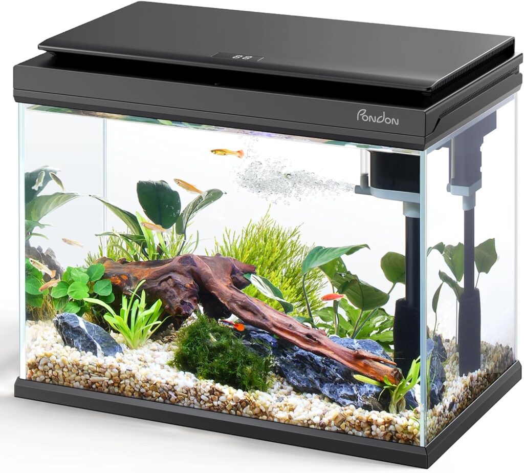 5 Gallon Fish Tank, Low Iron Glass Aquarium Starter Kits with Temperature Digital Display, Betta Fish Tank with No Installation for Beginners and Enthusiasts（Black）