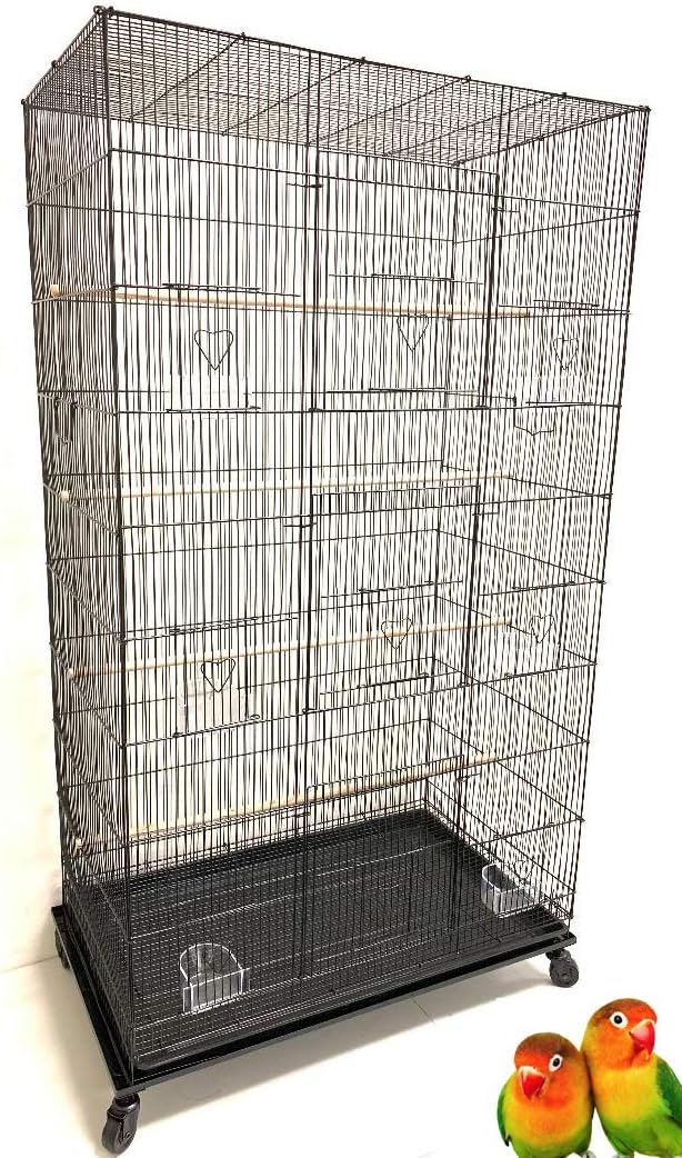 Comparing Large Bird Aviaries: Standalone or Walk-in?