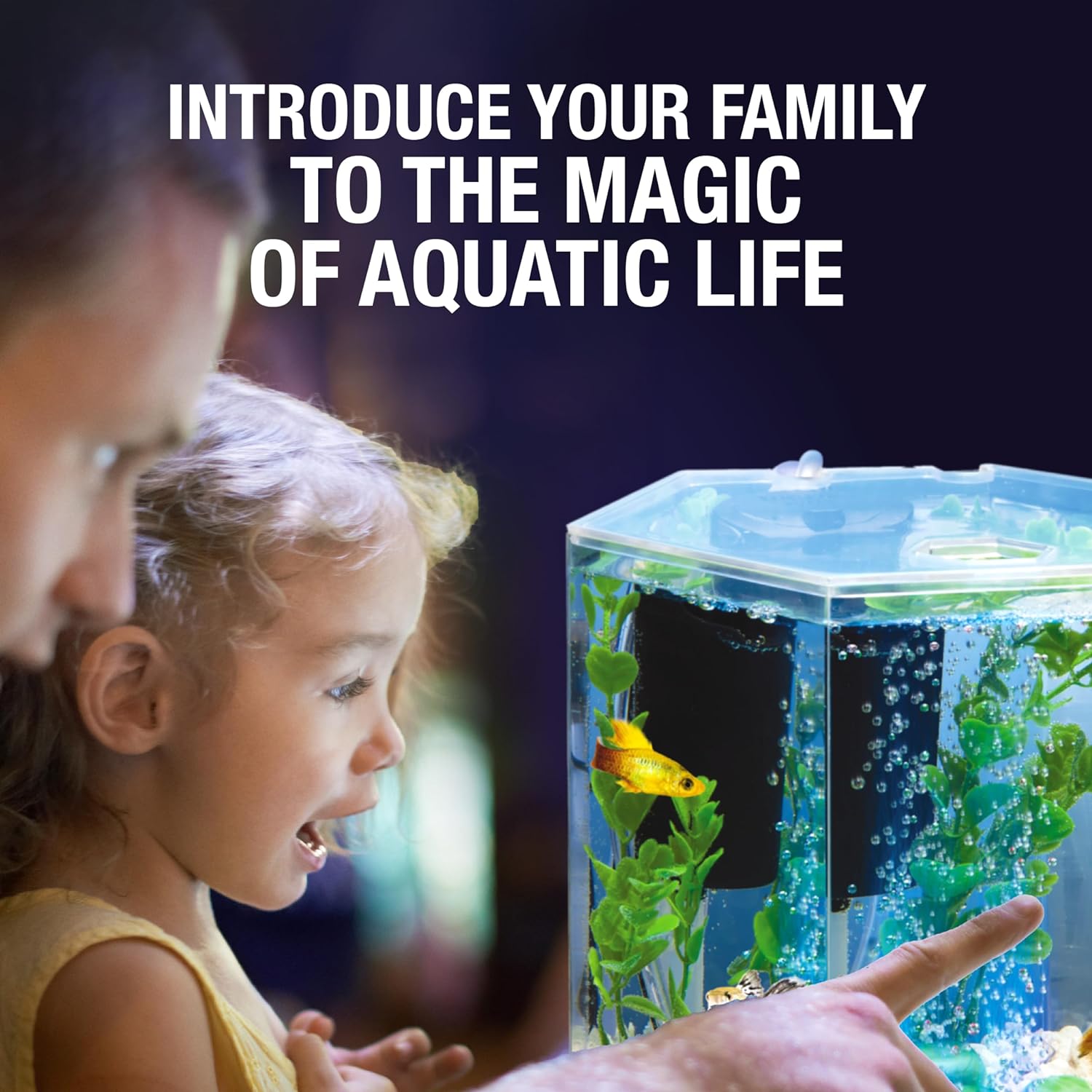 Aquarium Kit Showdown: Tetra vs. Lifegard vs. Complete LED