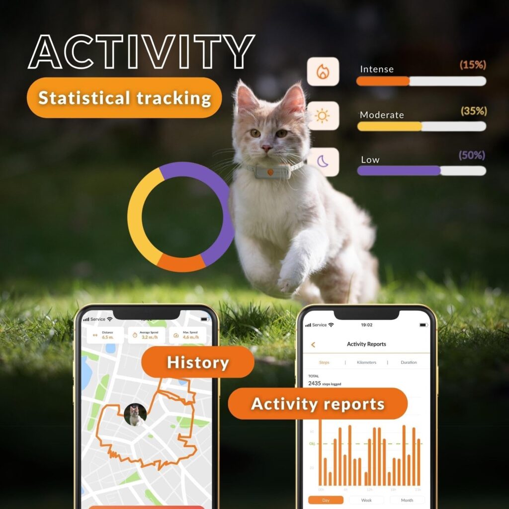 Cat GPS Tracker – Weenect XS (Black Edition 2023) | Real-Time GPS Tracking | Smallest Tracker on The Market | Subscription Required