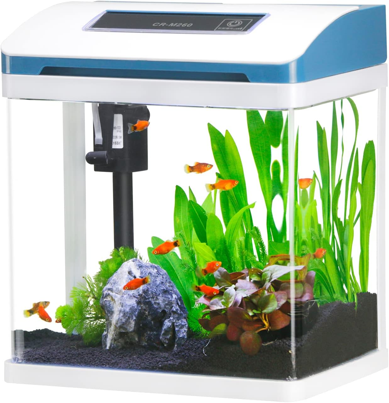 Comparing 3 Aquarium Kits: Tetra Crescent, Small Fish Tank, & Modern All-in-One