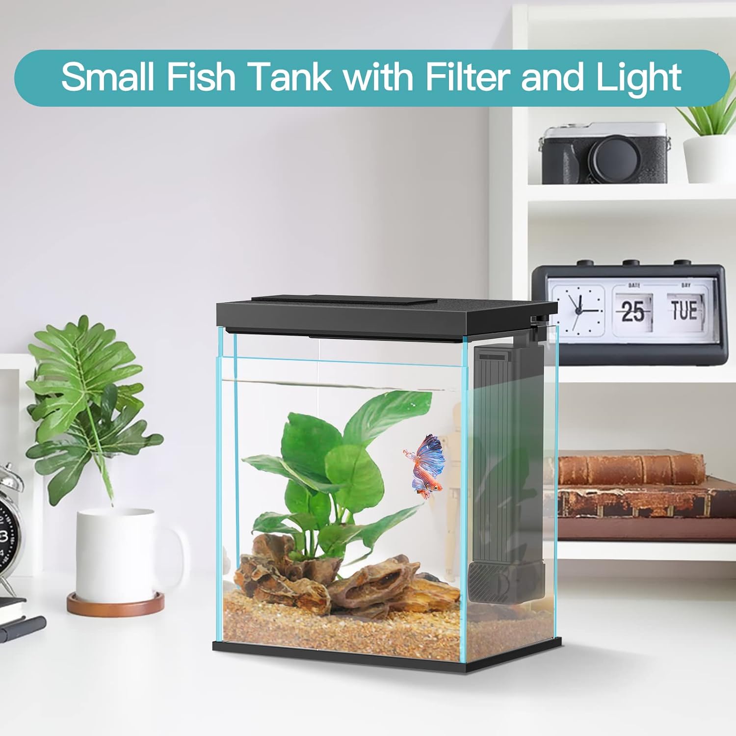 Comparing 3 Beginner-Friendly Fish Tanks: Lemazy vs Betta vs Small Glass Aquariums