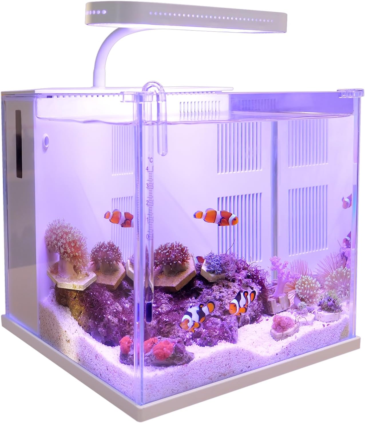 Comparing 3 Fish Tanks: Marineland, Betta Nemo, & FREESEA