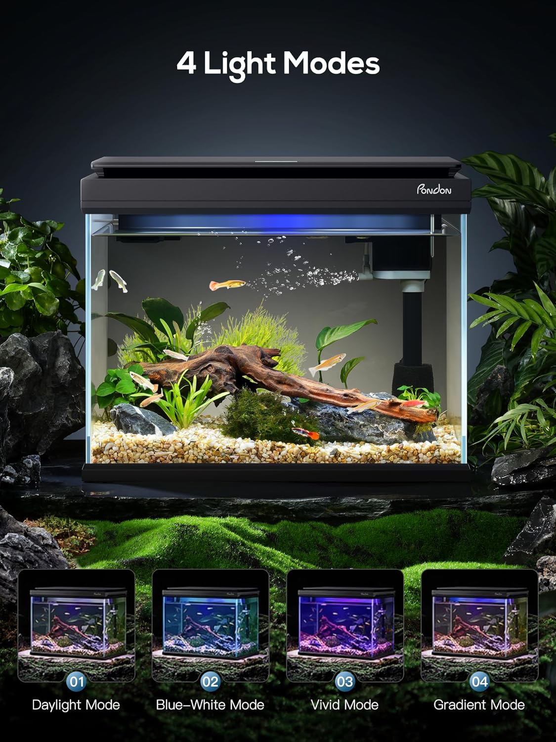 Comparing 3 Fish Tanks: Reviews & Comparisons