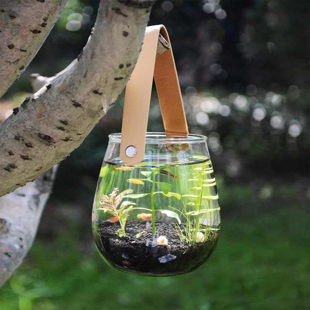 Fish Bowls for Beta Fish Mini Beginner Fish Tank for Kids Aquaponic Clear Hydroponic Plant Terrarium for Promoted Ecosphere Aquatic Ecosystem Glass Vase with Leather Handle