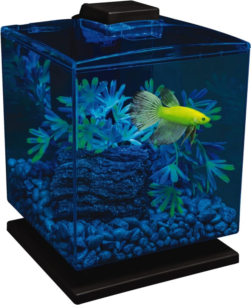 GloFish Betta Aquarium Kit 1.5 Gallons, Easy Setup and Maintenance, Perfect Starter Tank,Black/Clear