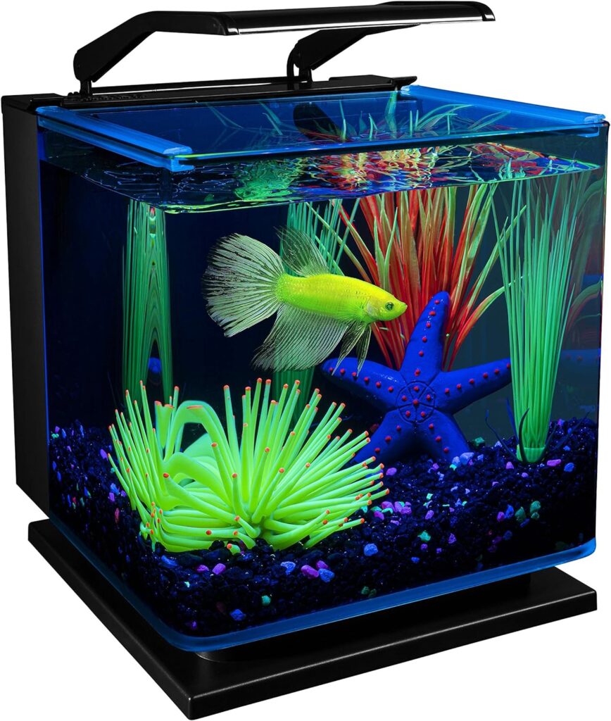 GloFish Betta Shadowbox Aquarium Kit