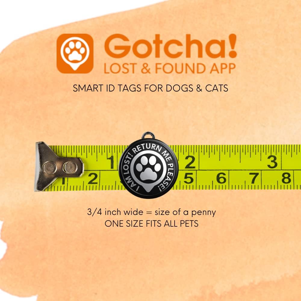 Gotcha Smart Pet ID Tag for Pets, Easily Attaches to Dog  Cat Collars and Harnesses, Contains Personalized Pet Contact Information for Quick Identification by Max  Molly