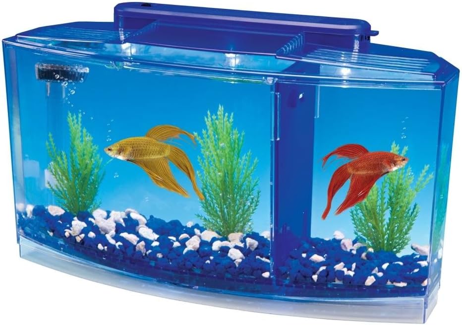 Comparing 3 Fish Tank Kits: Which Is Best?