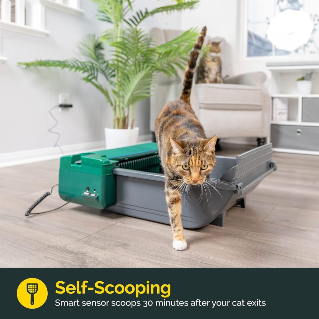 Pet Zone Smart Scoop Litter Box Value Pack, Self Cleaning Litter Box, Kitty Litter Box No Expensive Refills [ Auto Hands-Free Large Litter Box, Easy to Clean, Works w/Clumping Cat Litter ]