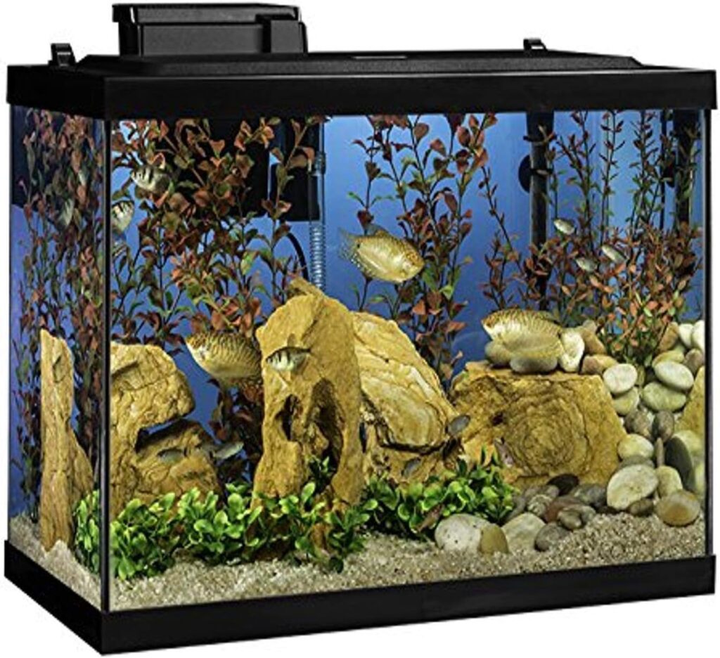 Tetra Aquarium 20 Gallon Fish Tank Kit, Includes LED Lighting and Decor