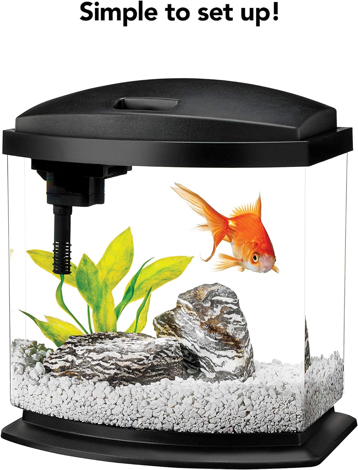 Aquarium Starter Kit Review: 5 Gallon vs 1 Gallon vs 55 Gallon