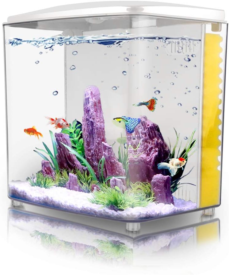 FREESEA 1.2 Gallon Betta Aquarium Starter Kits Square Fish Tank with LED Light and Filter Pump