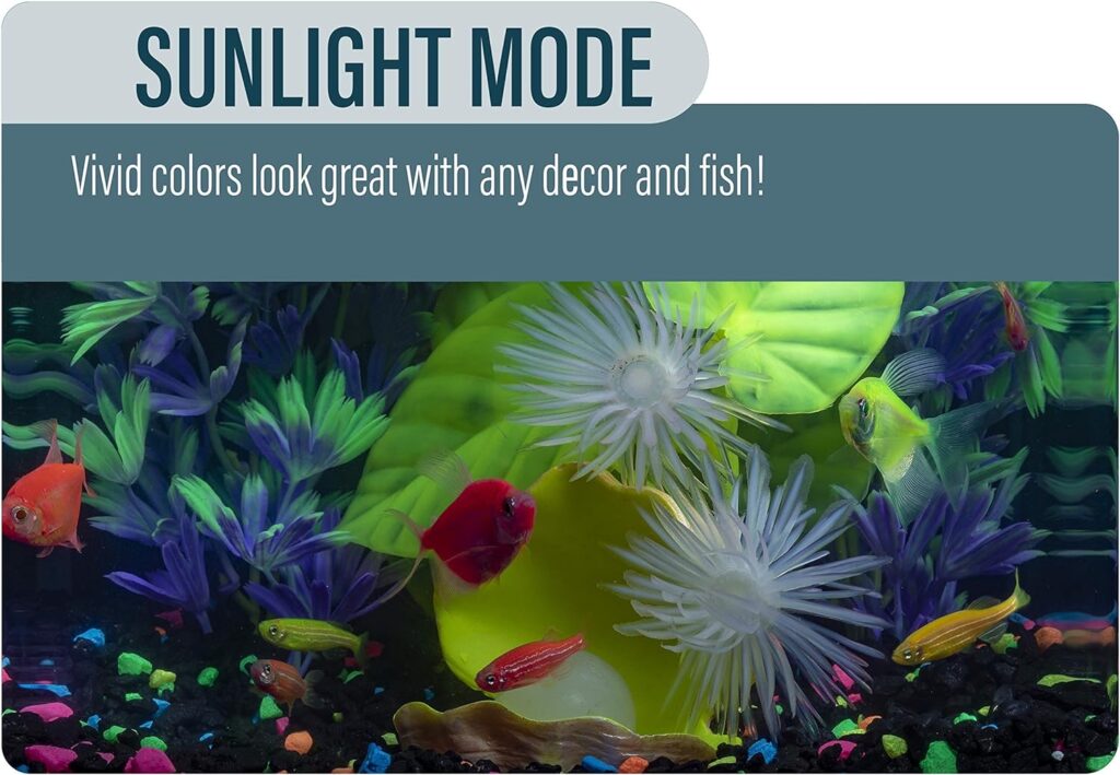 GloFish Aquarium Kit Fish Tank with LED Lighting and Filtration Included