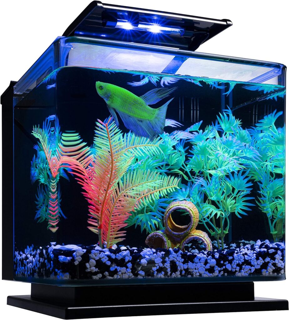 GloFish Betta Shadowbox Aquarium Kit