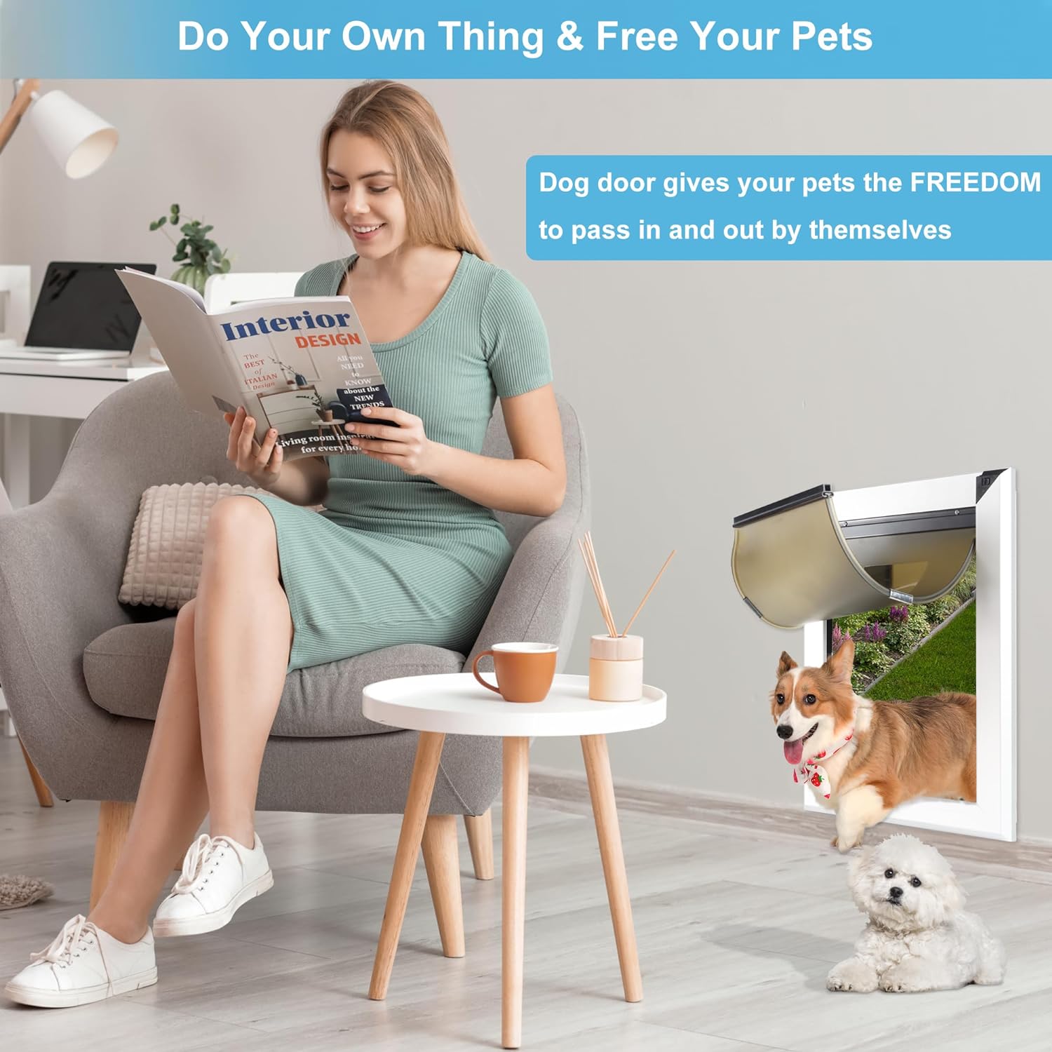 Pet Product Showdown: Dog Doors, Folding Gate, and Ultrasonic Bark Control