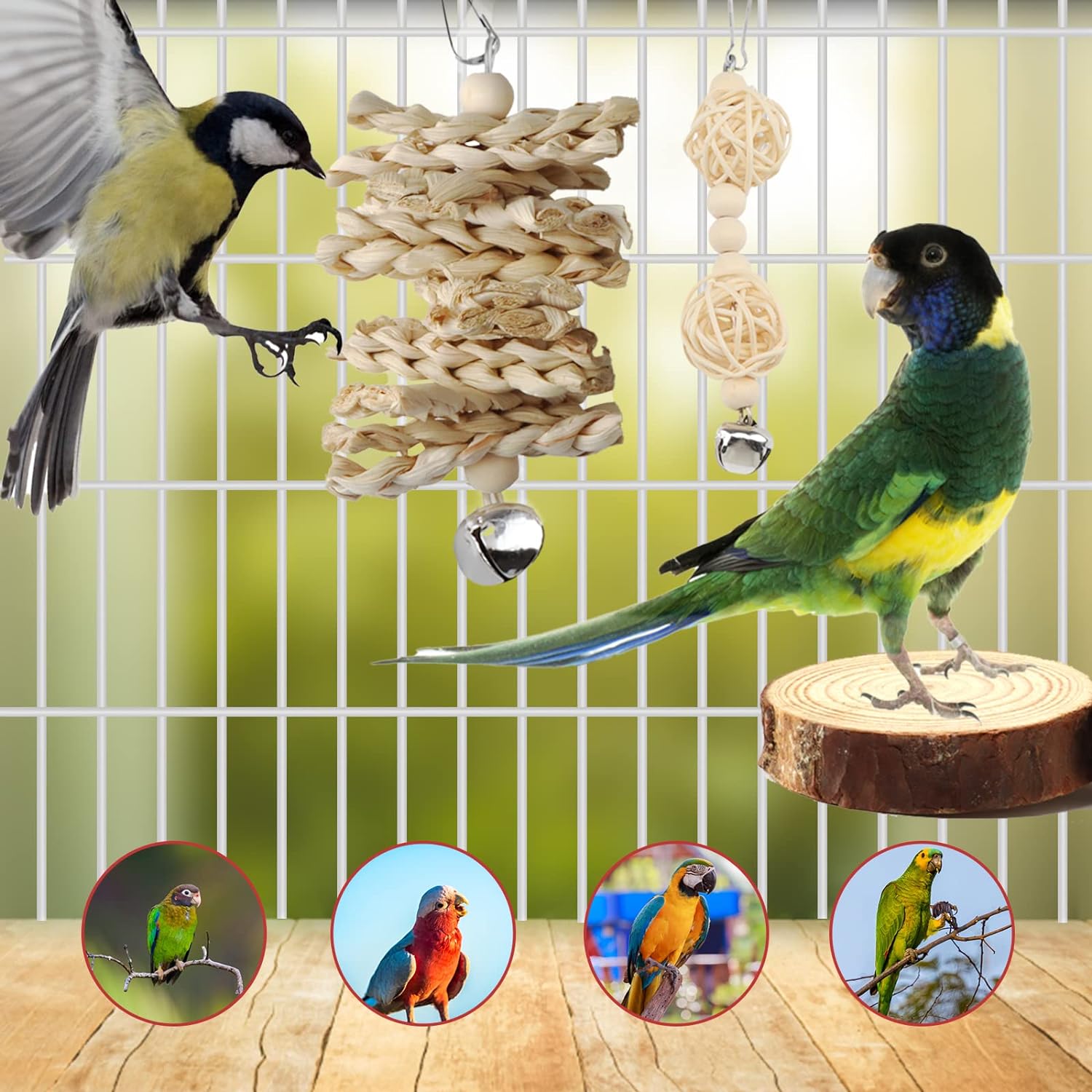 Bird Toy Comparison: Parakeet Accessories, Perches, and Cage Liners