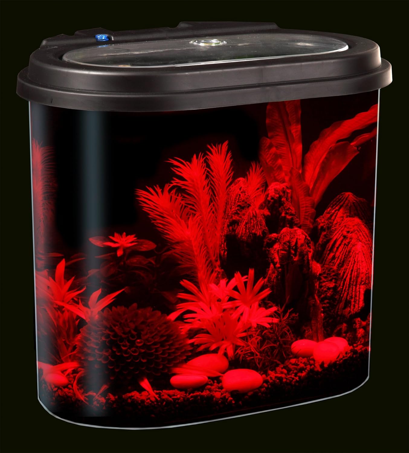 Comparing 3 Top Aquarium Starter Kits: Unbiased Review