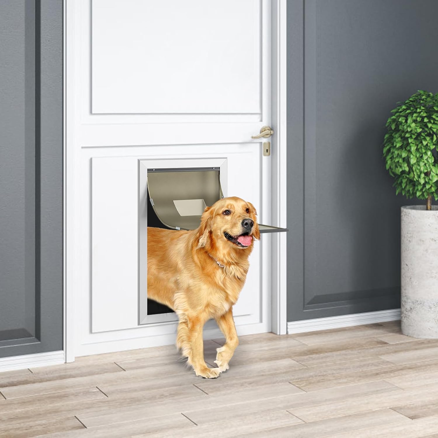 Comparing Dog Doors: Efficiency, Installation, & Durability