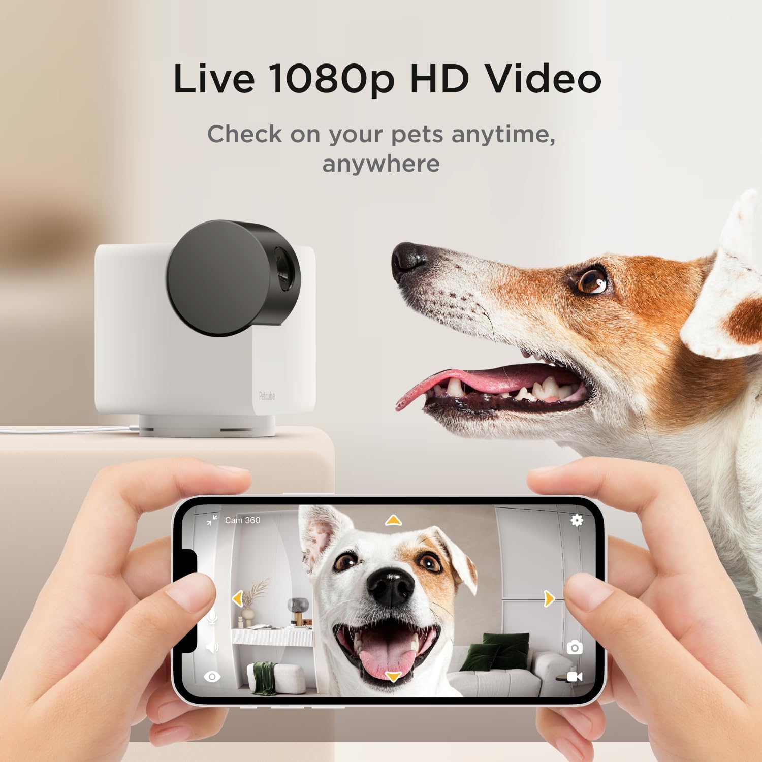 Comparing Pet Cameras: Petcube, 360°Dog Camera, and SKYMEE Owl Robot