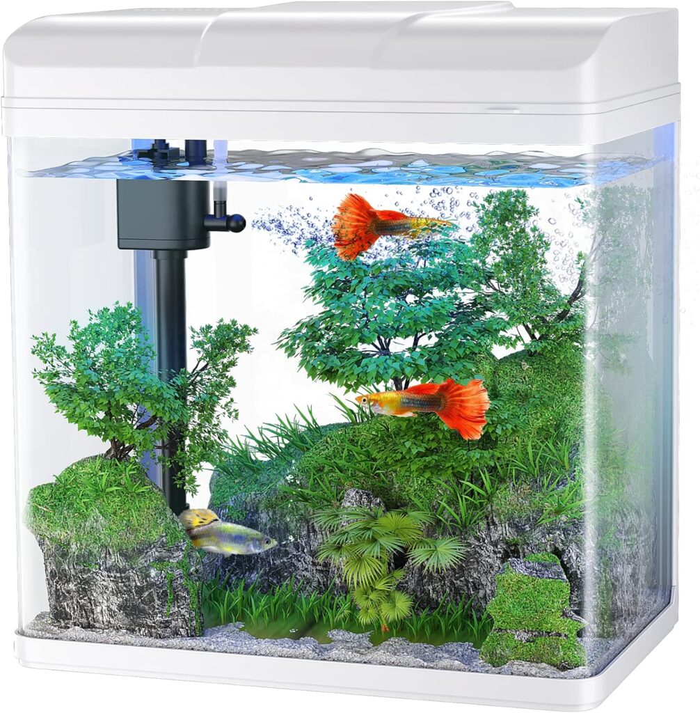 Fish Tank, 1.7 Gallon Glass Aquarium with Air Pump  LED Light  Filter, Small Fish Tank for Betta Fish Starter Kit (White)