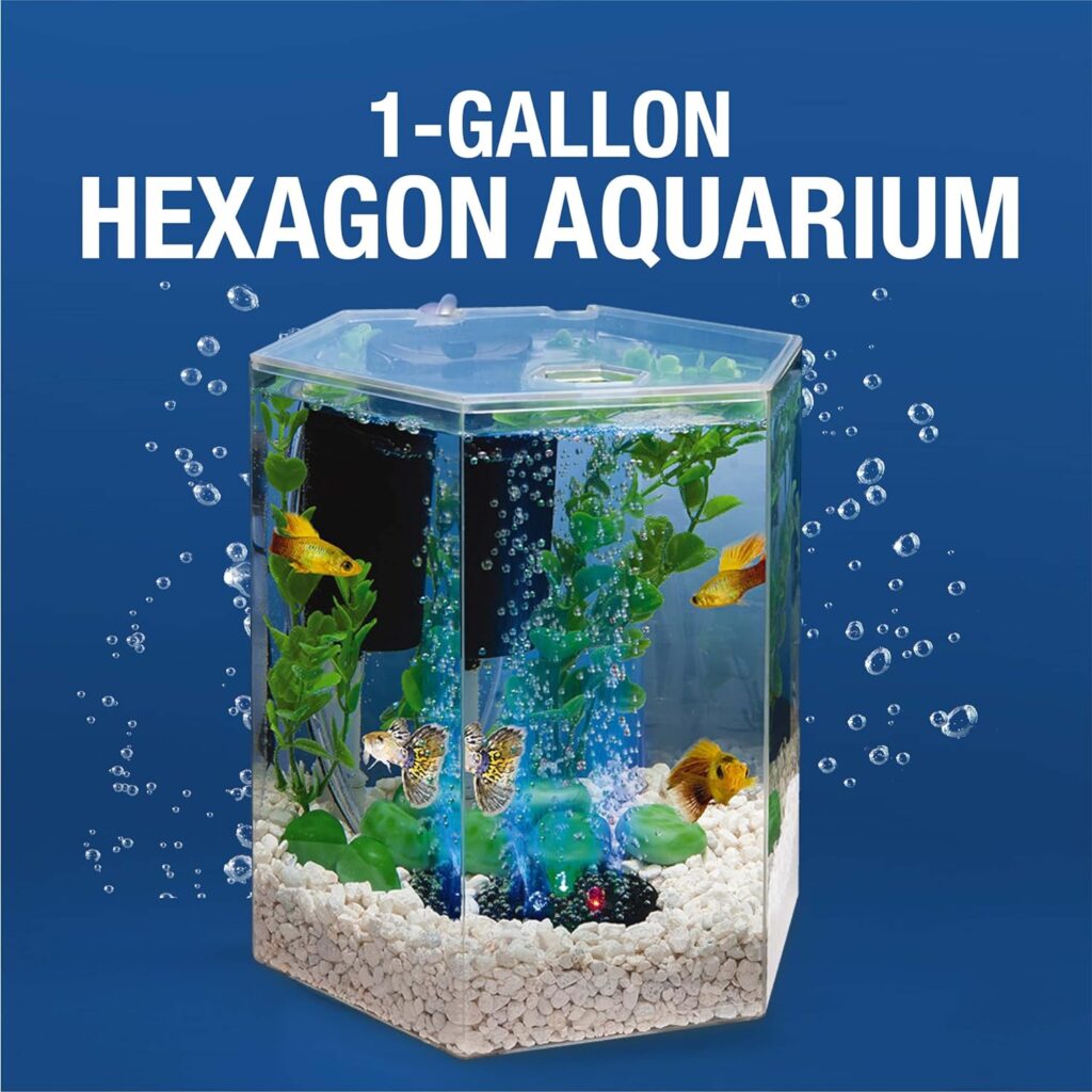 Tetra Bubbling LED Aquarium Kit 1 Gallon, Hexagon Shape, With Color-Changing Light Disc,Green (Packaging may vary) , 1 gallon (7.5 x 7.5 x 7.7)