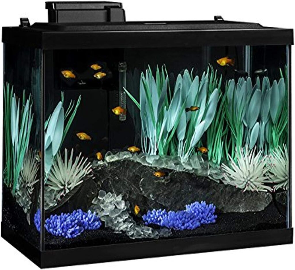 Tetra ColorFusion Aquarium 20 Gallon Fish Tank Kit, Includes LED Lighting and Decor