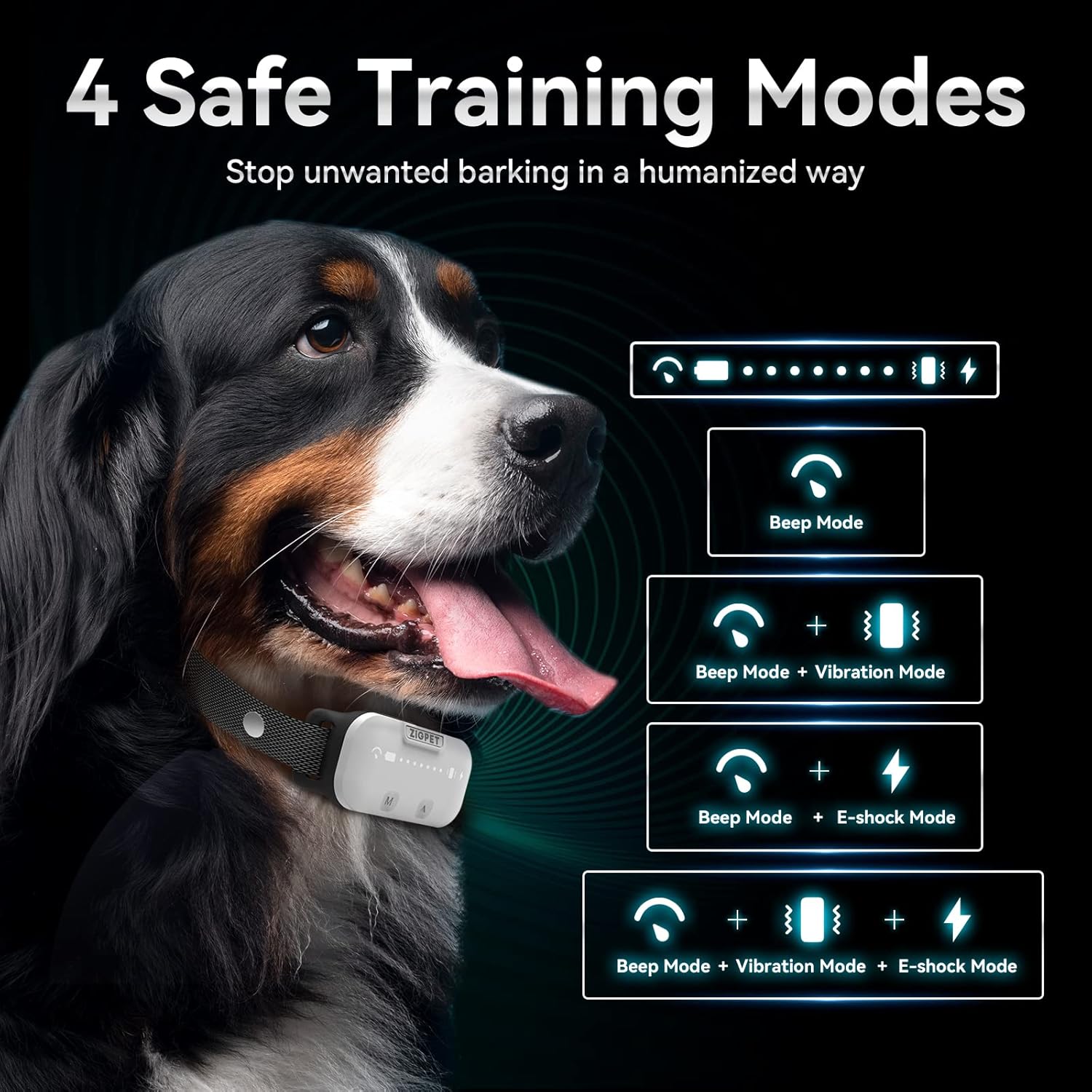 Comparing Top Dog Bark Collars and GPS Tracking Systems