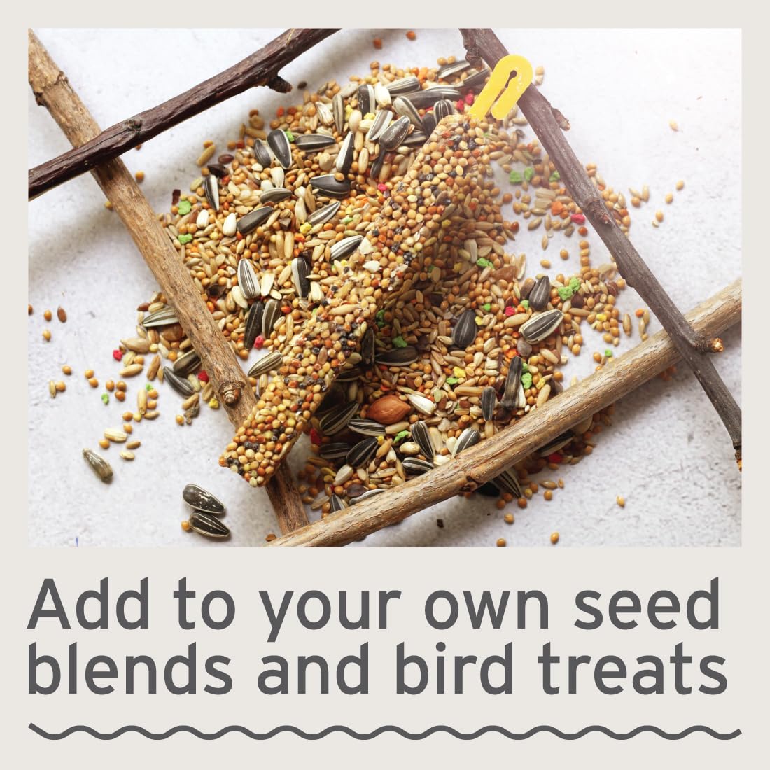 Comparing Top Organic Millet and Bird Seed Products for Birds