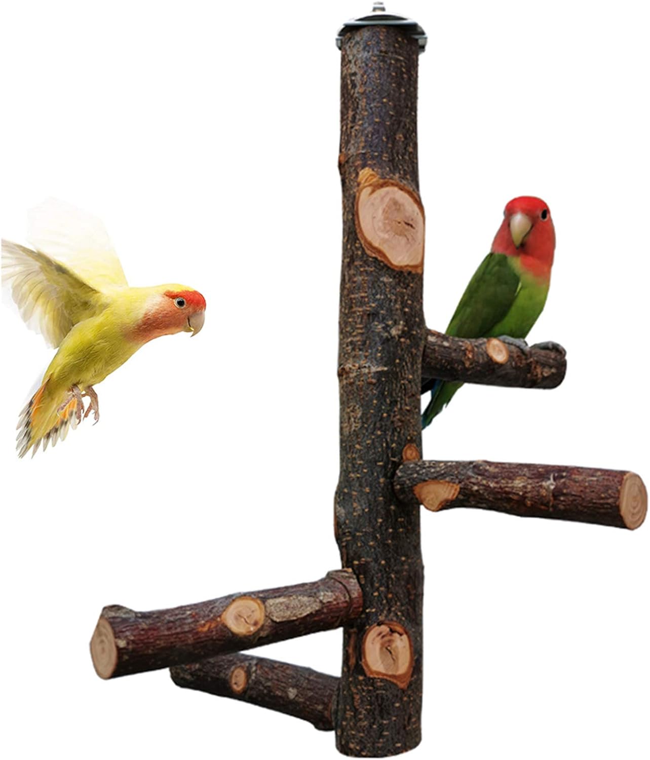 kathson Parrots Perch Natural Fruit Wood Stand Toy Branch Paw Grinding Standing Climbing Toy Cage Accessories for Small and Medium Birds,Parakeets,Lovebirds,African Grey,Cockatiels