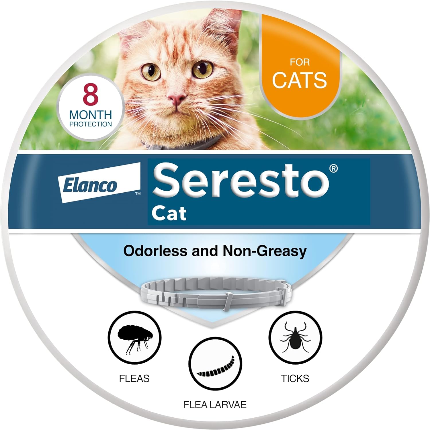 Seresto Cat Vet-Recommended Flea  Tick Treatment  Prevention Collar for Cats | 8 Months Protection