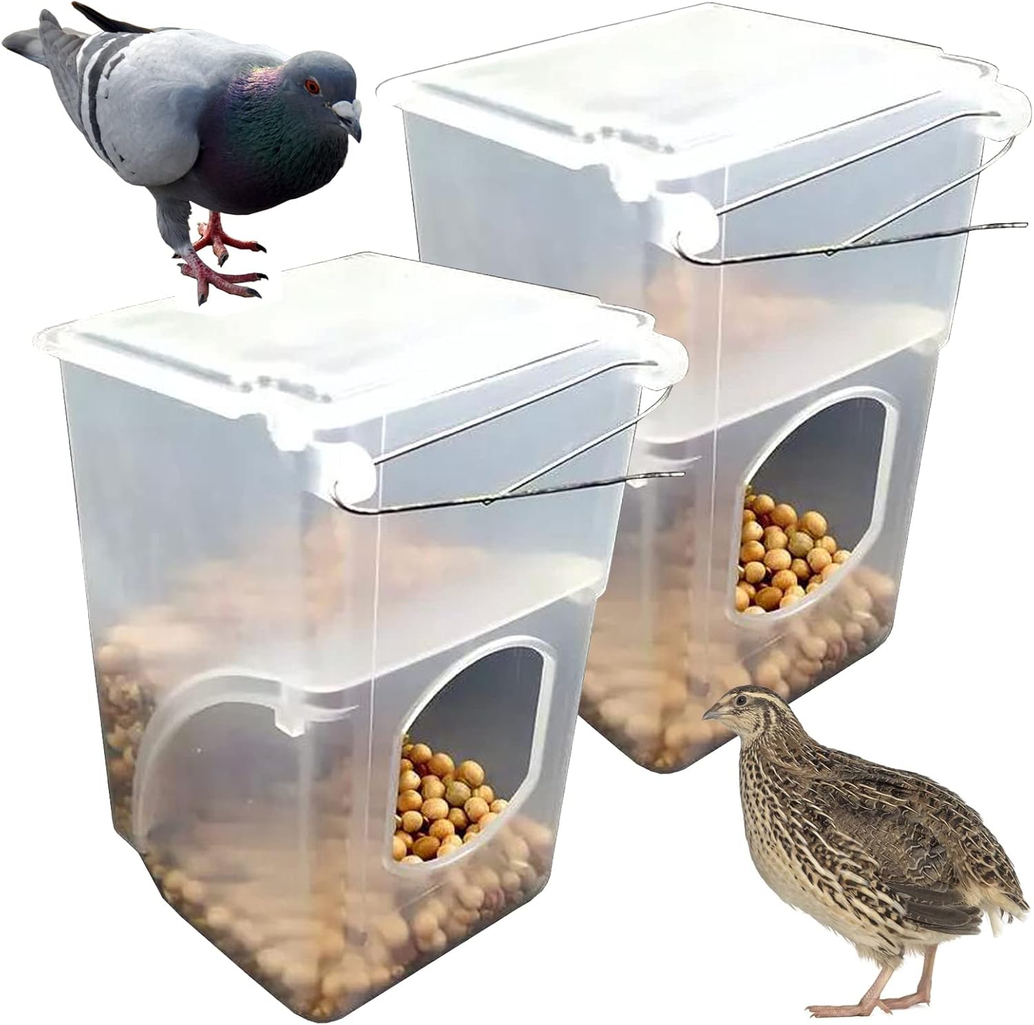 Automatic Pigeon Bird Feeder -Parrot Feeder Cage Accessories Supplies for Parakeet Canary Cockatiel Finch