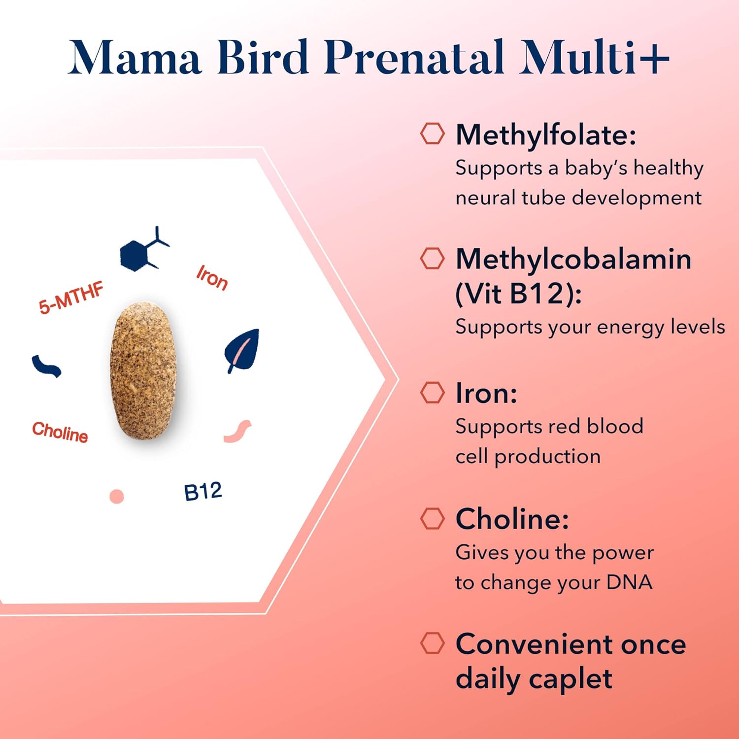 Best Nest Wellness Mama Bird Prenatal Vitamin Bundle