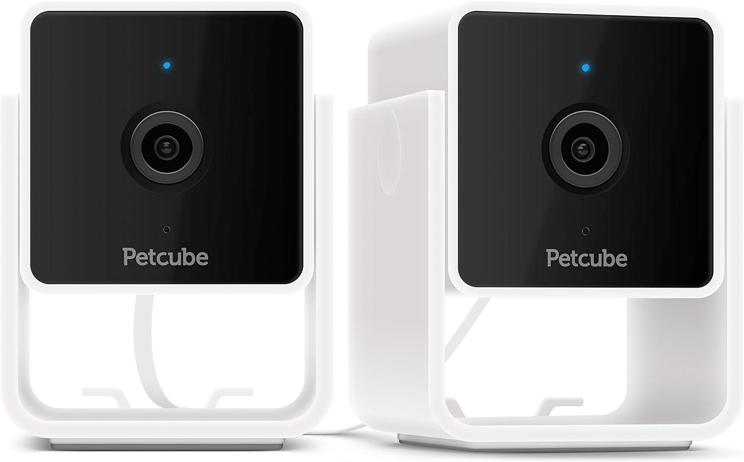 Comparing Petcube: Cam 360, Cam, and Play 2 Pet Cameras