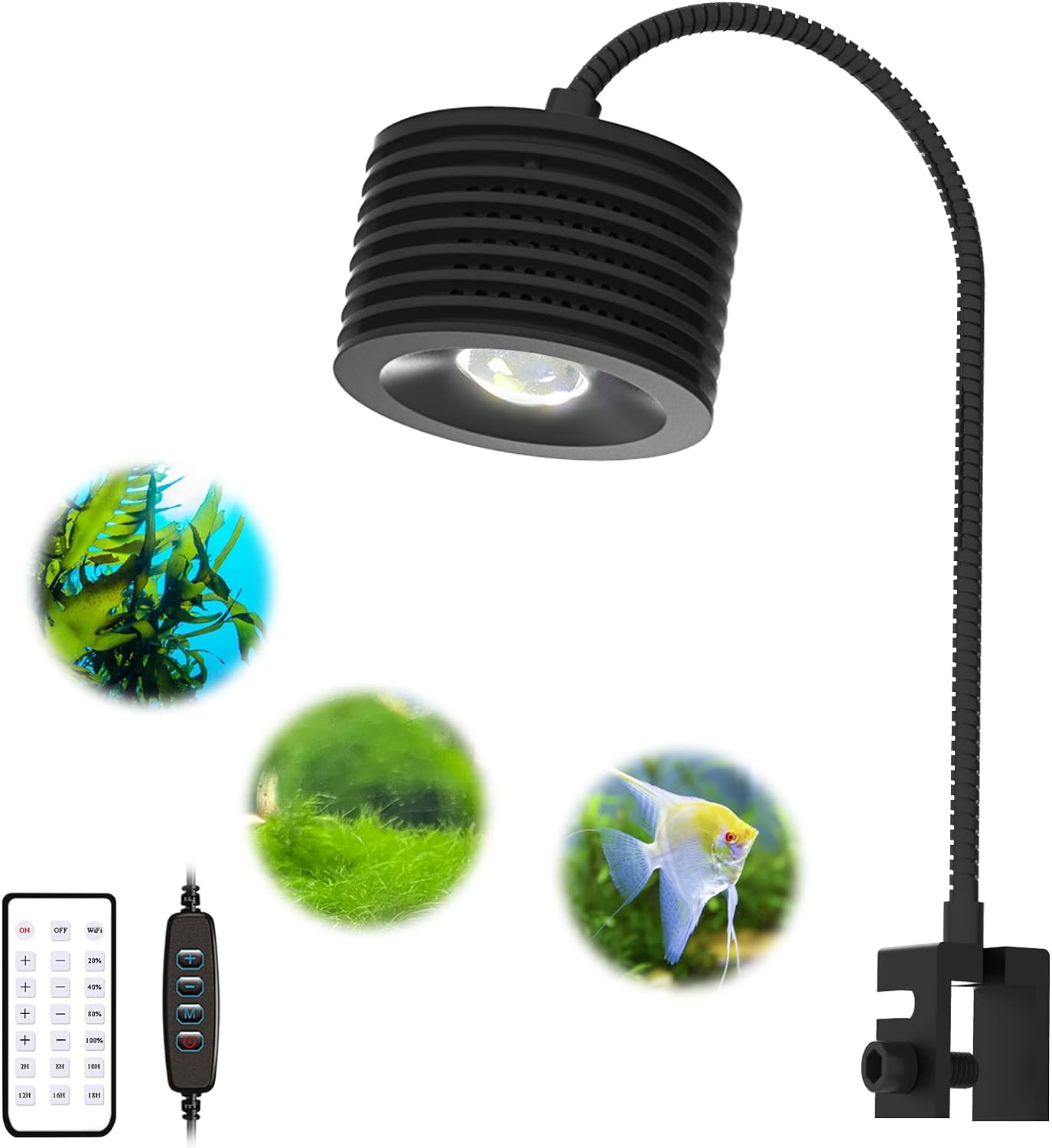 Comparing the Best Full Spectrum Aquarium Lights for Your Tank