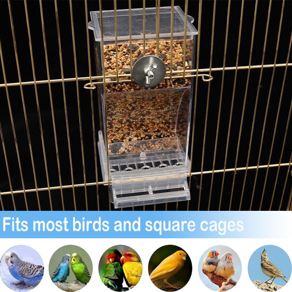 Comparing Three Top Bird Feeder Products for 2023