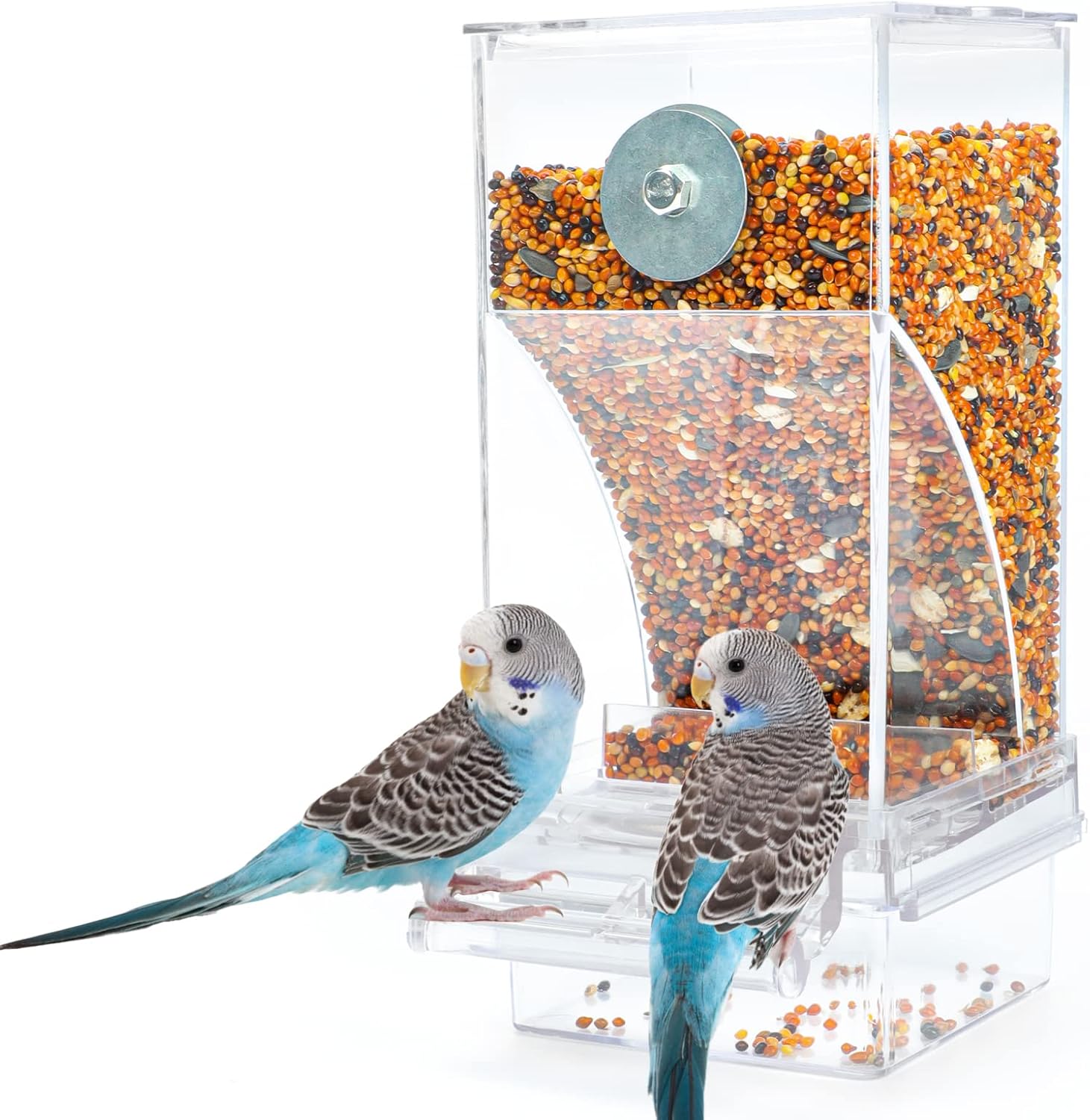 Comparing Top Bird Feeders: Rypet, Transparent Bowls, Food Cups