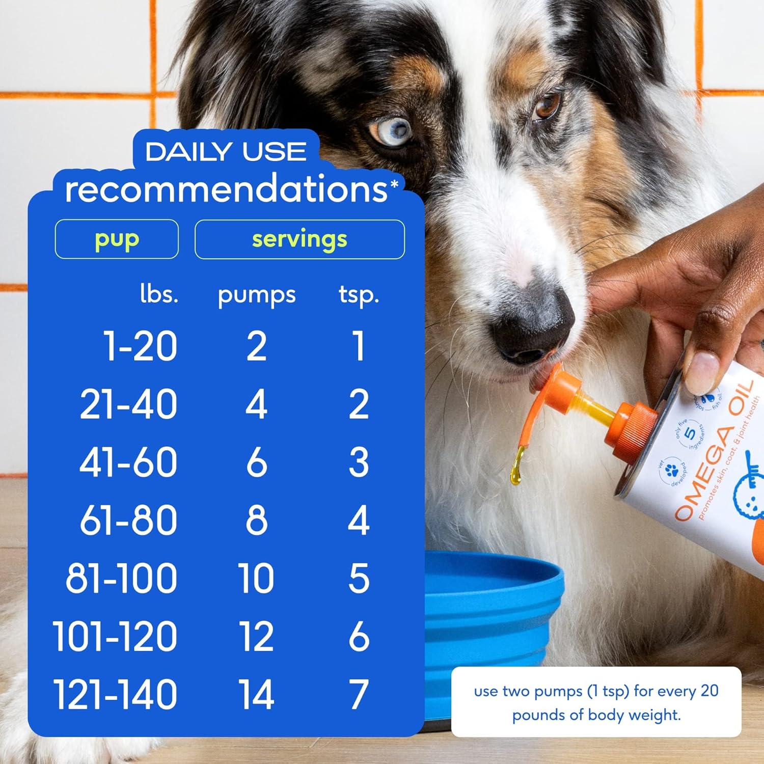 Comparing Top Pet Supplements: Multivitamins, Omega-3, Antibiotics