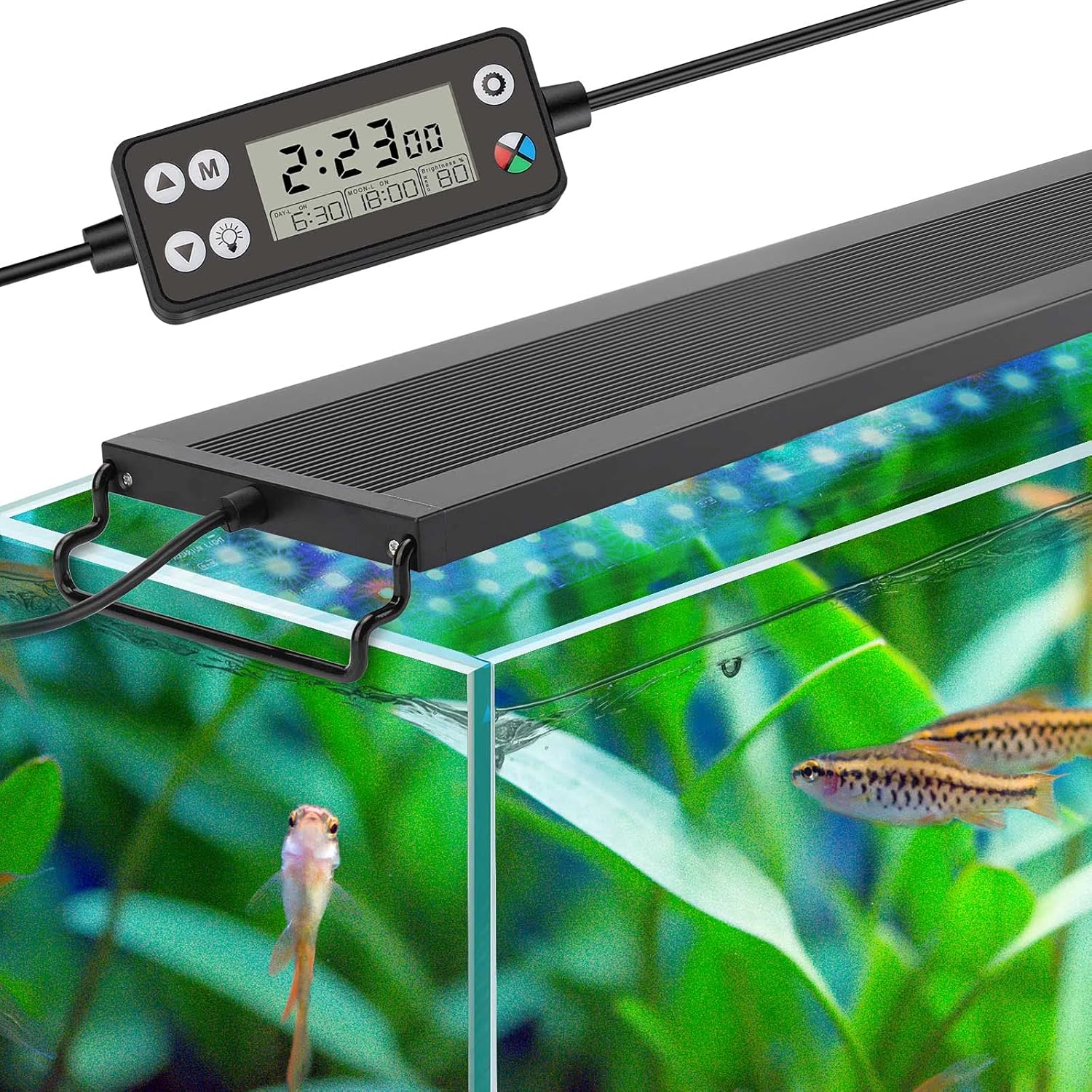 Comparing 3 Top LED Aquarium Lights for Freshwater Tanks