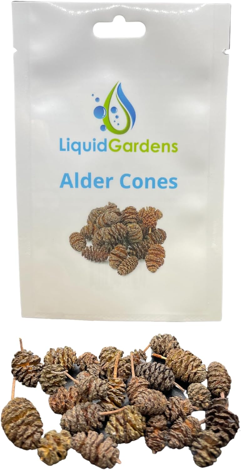 Liquid Gardens Alder Cones, 25 Pieces - Aquarium Shrimp Accessories, Aquarium Botanicals, Tannins for Betta Fish, Shrimp Water Conditioner, Alder Cones Aquarium, Fresh Water Shrimp for Fish Tank