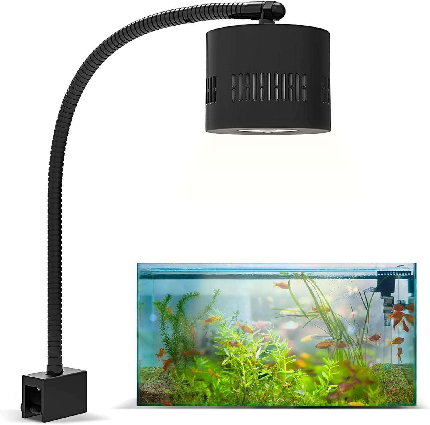 Lominie LED Aquarium Light, Remote Control 80W Planted Fish Tank Light Asta120 Clamp Clip Lamp for Freshwater Refugium Algae Fish Tank with Gooseneck (F120 80W Freshwater)